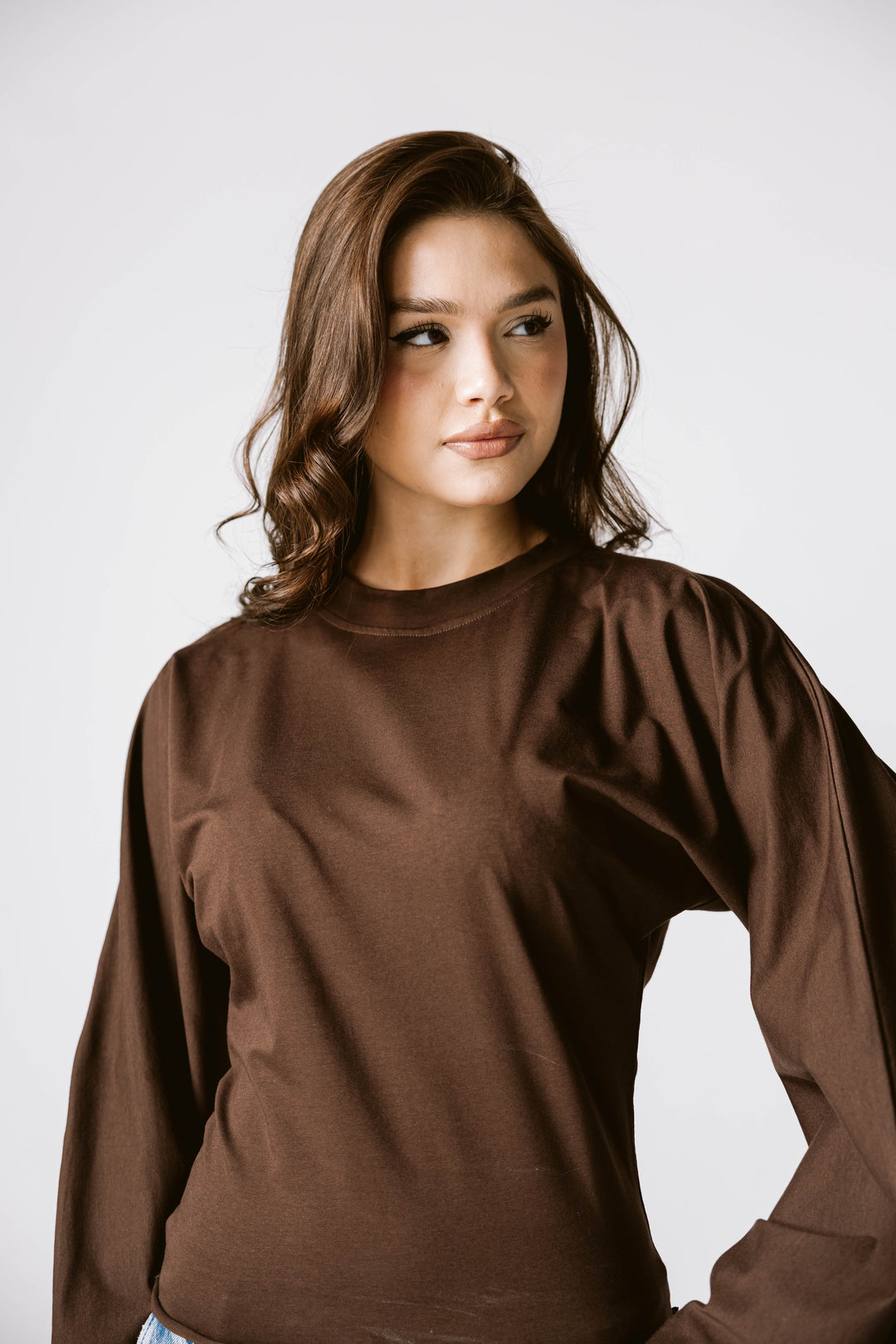 Balloon Sleeve Top In Brown