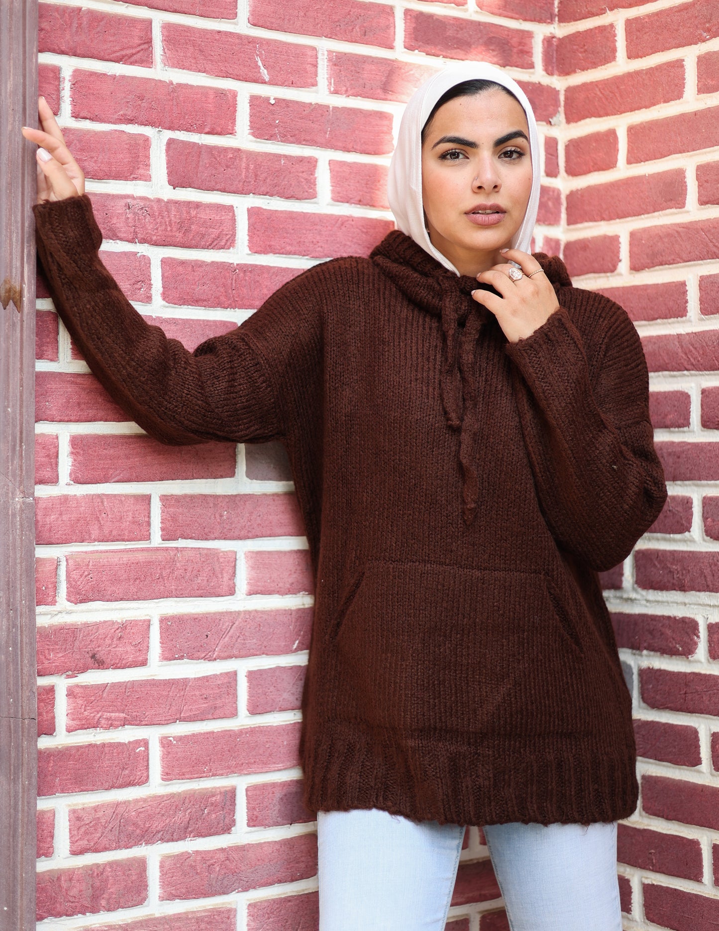 Brown Pullover